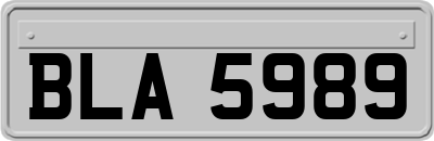 BLA5989