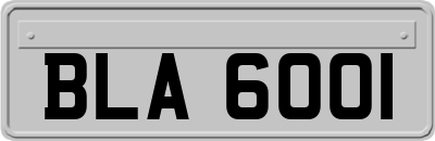BLA6001