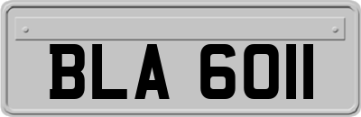 BLA6011