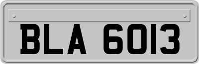 BLA6013