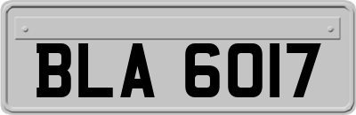 BLA6017