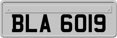 BLA6019
