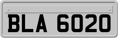 BLA6020