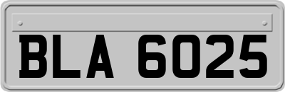 BLA6025