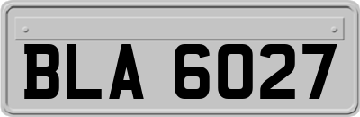 BLA6027