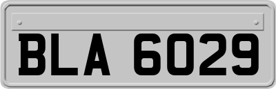 BLA6029