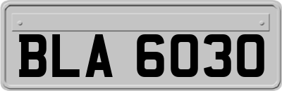 BLA6030