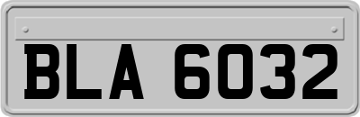 BLA6032