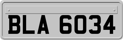 BLA6034
