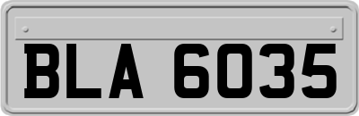 BLA6035