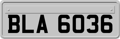 BLA6036