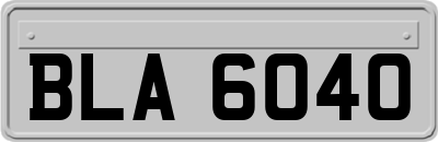 BLA6040