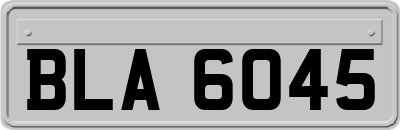 BLA6045