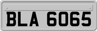 BLA6065