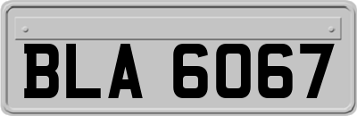 BLA6067