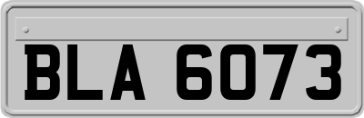 BLA6073