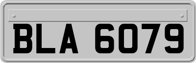 BLA6079