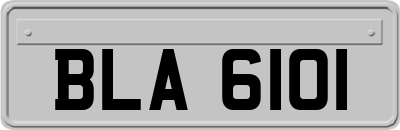 BLA6101