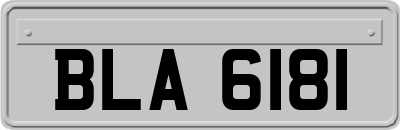 BLA6181