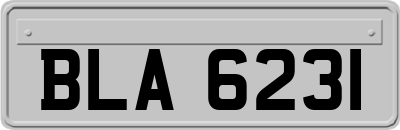BLA6231