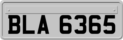 BLA6365