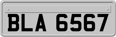 BLA6567