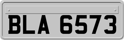 BLA6573