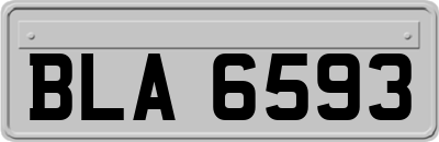 BLA6593