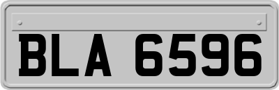 BLA6596