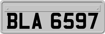 BLA6597