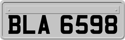 BLA6598
