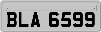 BLA6599