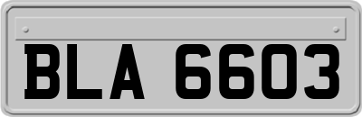 BLA6603