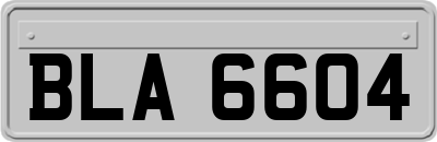 BLA6604