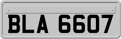 BLA6607