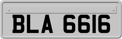 BLA6616