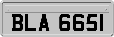 BLA6651