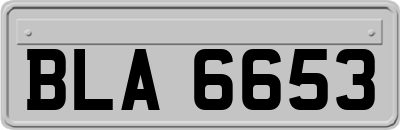 BLA6653