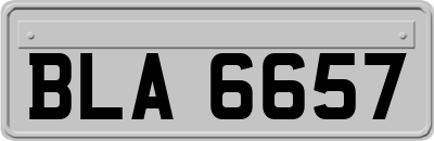 BLA6657