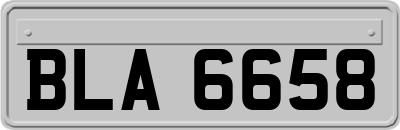 BLA6658