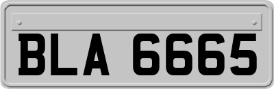 BLA6665