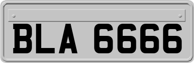 BLA6666