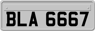 BLA6667