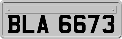 BLA6673