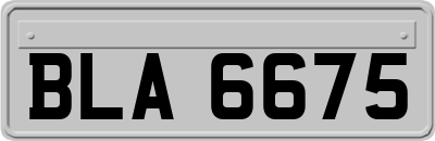 BLA6675