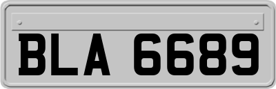 BLA6689