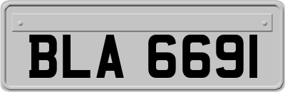 BLA6691