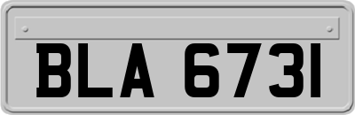 BLA6731