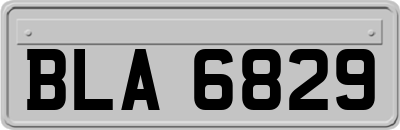BLA6829