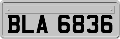 BLA6836